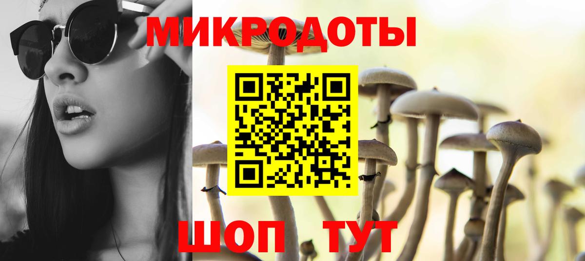 Железногорск  Галлюциногенные грибы Psilocybine cubensis  Вход с VPN  Псилоцибиновые грибы GOLDEN TEACHER 